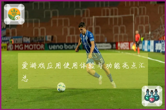 爱游戏应用使用体验与功能亮点汇总