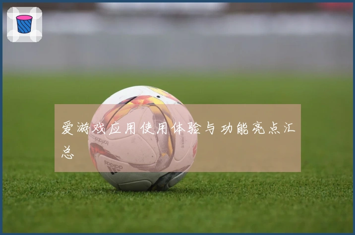 爱游戏应用使用体验与功能亮点汇总